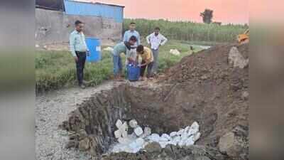 500kg paneer destroyed during surprise dairy inspection in Palwal