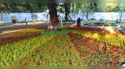Empress Garden society opposes plan to transfer 2.5 acres for court, revenue dept official says vacant govt land allotted
