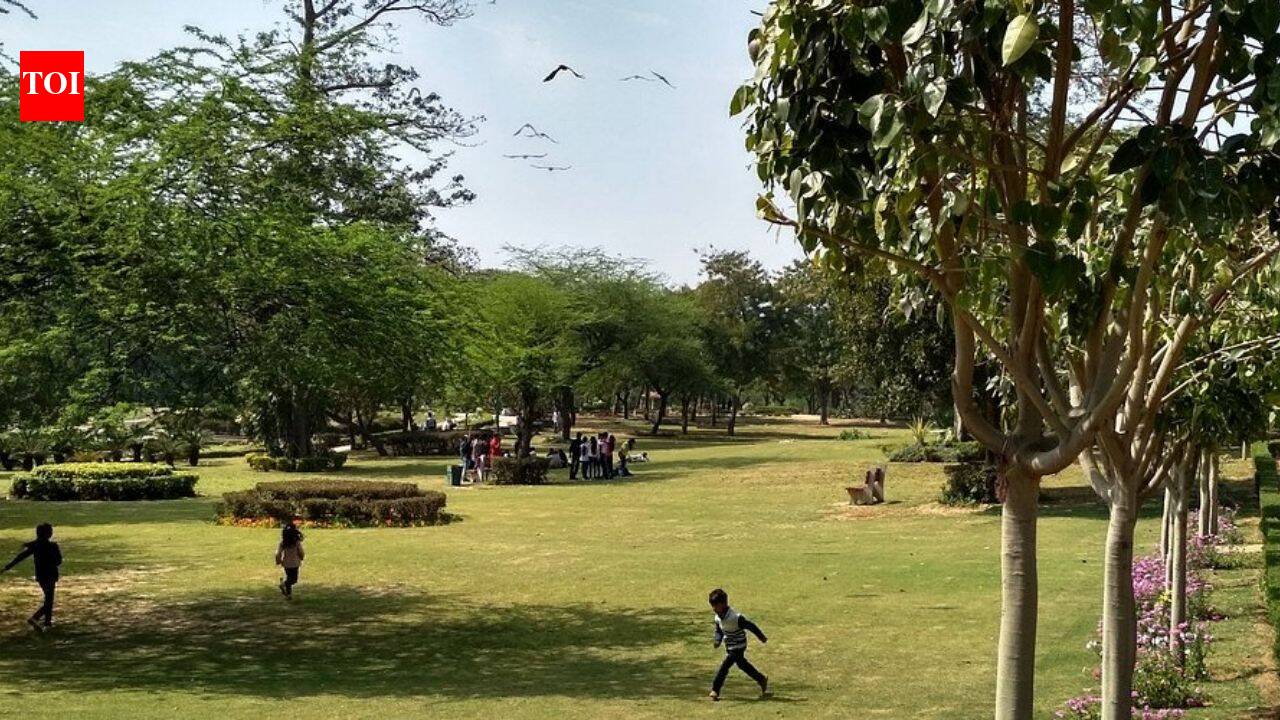 ‘I kept crying, they held a knife to my neck’: 17-year-old gang rape at Delhi park