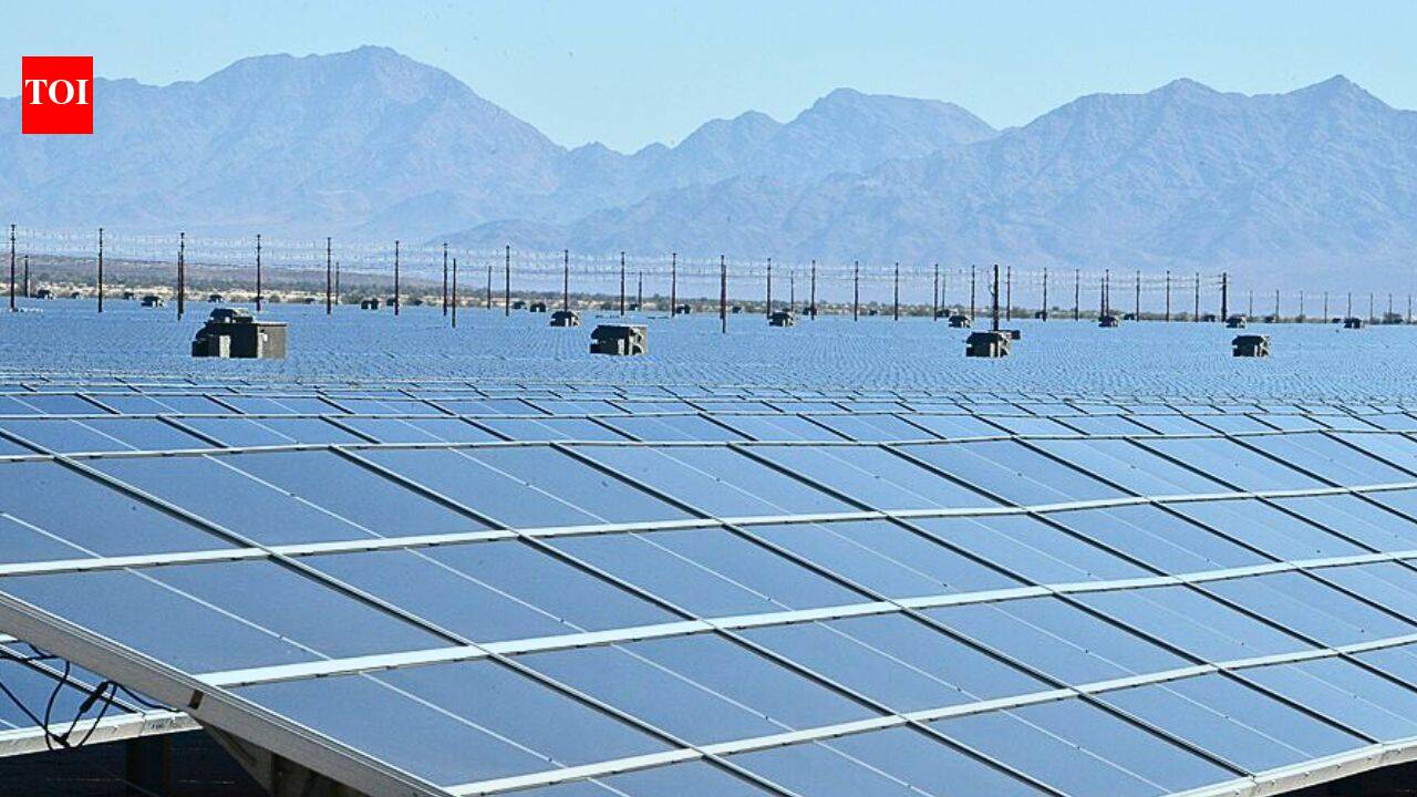 Belgian quarry uses solar panels and sheep in a project to produce clean power