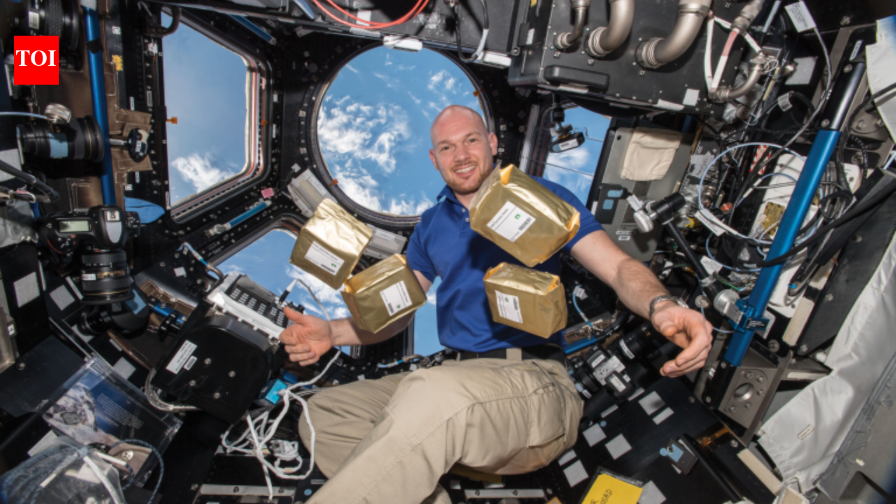 NASA sent 12.5M tomato seeds to space in 1984; by 1990, 40,000 schools in 40 countries grew them