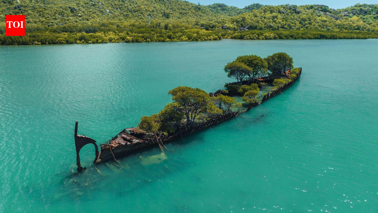 A Ship caught fire 160 years ago; mangroves turned its wreck into a living island