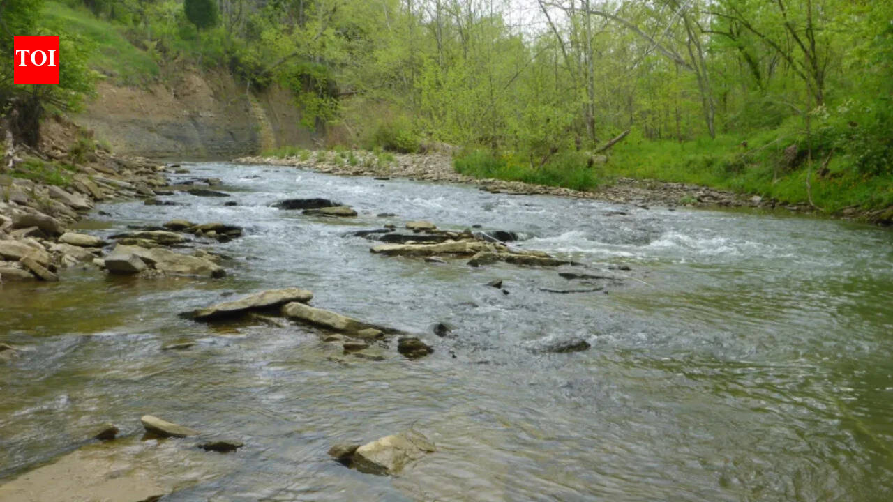 Kentucky woman turned 45 acres into a nature preserve; sewer project now takes seven easements