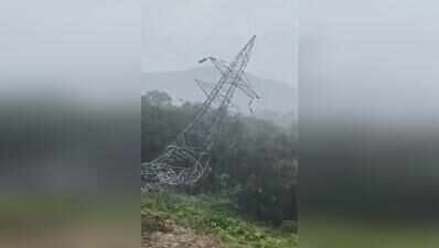 Heavy rain, strong winds damage 132-kV transmission tower in Koraput