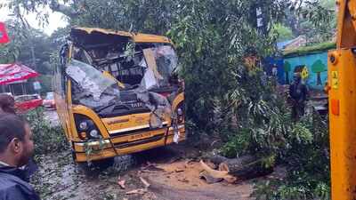 Trees fall on two school buses, roads & parked cars, none hurt