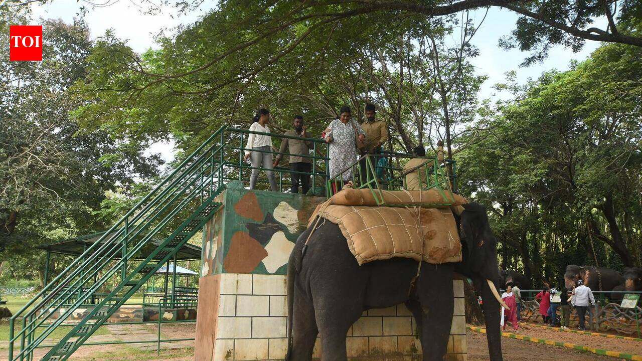 Sakrebailu elephant camp to reopen on Sept 26 with new safety measures