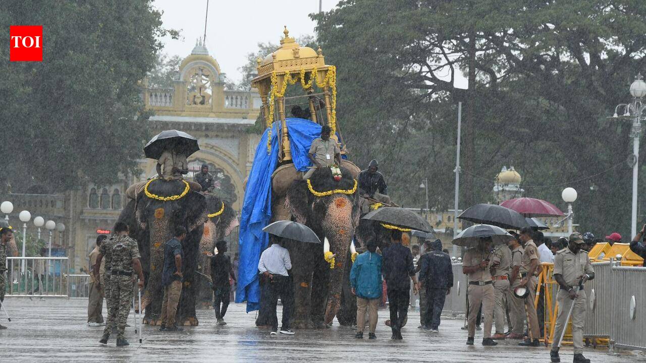 Wooden howdah rehearsal postponed due to rain