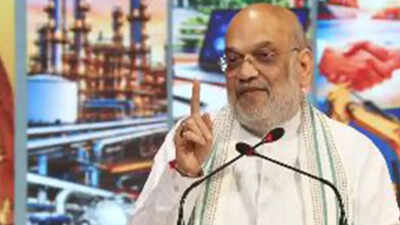 'Mafia ruled UP, Yogi govt eliminated it': Amit Shah highlights political stability, policy implementation under BJP govt