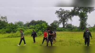 Leopard strays close to residential area near VTR, search on
