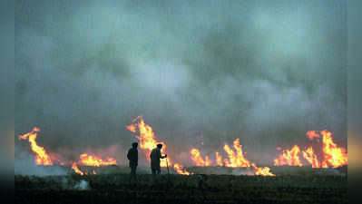 5 more farm fires in Punjab, season tally rises to 32