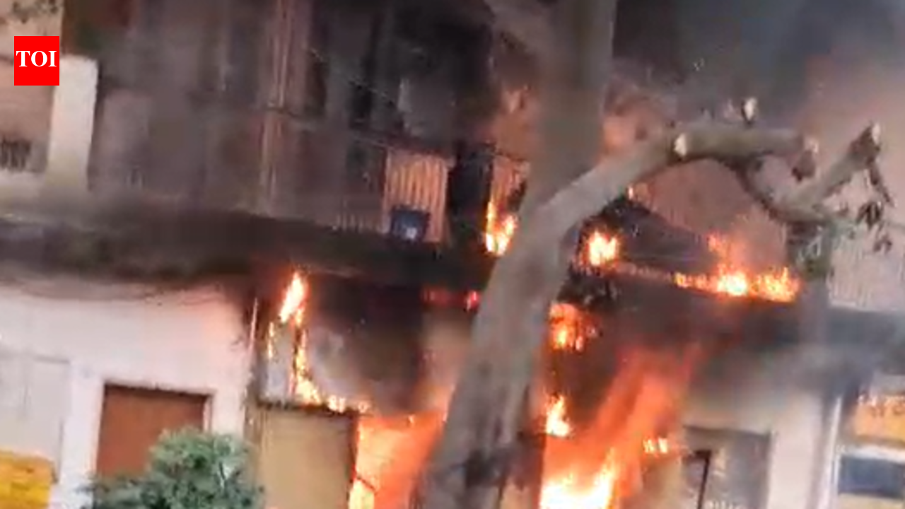 Two LPG cylinders explode as fire guts Sector 17 fast food joint, no casualties