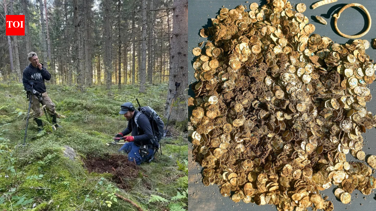 Man using metal detector finds 4,000+ Viking Age silver coins buried 39 feet apart