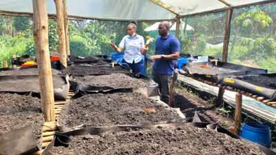 Kenyan researchers are turning human poop from informal settlements into fertiliser; 1,000 farmers could benefit from the waste-to-food cycle