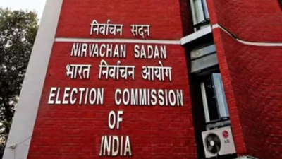 Marking 'VIPs' routine, was part of SSR even before SIR: Officials