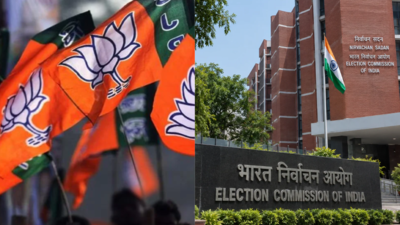 ‘Campaign for remuneration is common’: Influencers on BJP’s pay list submitted to poll panel