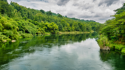 Brazil restored river forests using three seeding methods and planted seedlings; 15 years later, row-seeding stored 155 tonnes of biomass per hectare