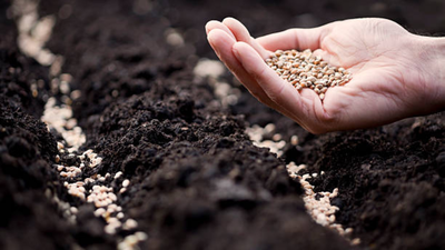 In 2022, Honest Raja left his robotics job to pursue organic farming and travelled 60,000 km across India to collect 300 native seeds; today, he grows them on his 2-acre farm to keep forgotten crops alive