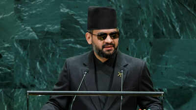 'Ask India, Pakistan, Bangladesh': Nepal PM Balen Shah flags broken world order at UNGA