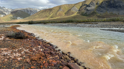 Scientists first noticed Alaska rivers turning orange in 2018; new research finds waters in pristine areas can be more acidic and metal-rich than drainage from metal mines