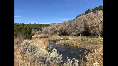 Jane Fonda conserved a New Mexico ranch before a 2018 easement ...