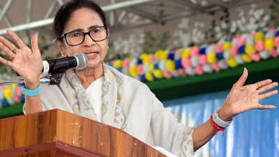 'Situation reversed': BJP takes jibe at Mamata’s CPM outreach amid EC-SIR row