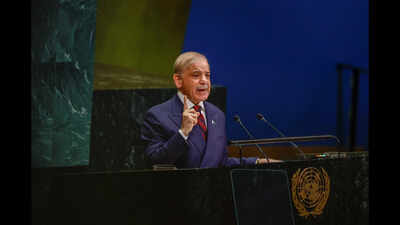 Watch: Indian diplomat's reaction to Pak PM Shehbaz Sharif's UN speech goes viral