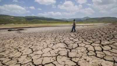 Maharashtra declares 265 of 358 talukas drought-hit, announces farm loan restructuring, other relief