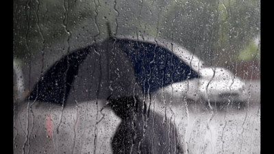 TNAU forecasts near-normal northeast monsoon rainfall in Tamil Nadu