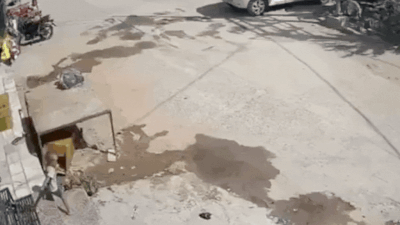 Rajasthan hit-and-run: 3-year-old dies after being dragged 10ft by Scorpio, driver flees; CCTV captures crash