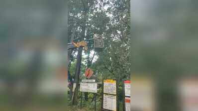 Power restored in most city areas, outskirts await repair