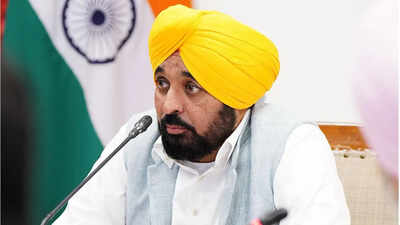 Anti-sacrilege law: Mann to hold meeting of coordination committee to discuss provisions