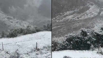 Season’s first snowfall blankets Himachal Pradesh's Kinnaur as early winter chill reaches higher reaches