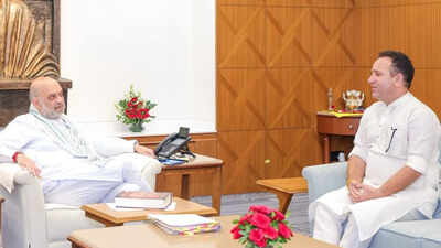 J&K BJP bigwig meets Shah day after Omar moves statehood resolution with autonomy reference
