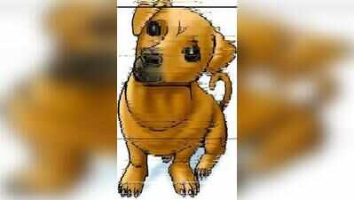 Min announces pet crematorium for Kol