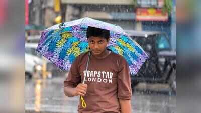 Rain and gusty winds likely for next two days, says IMD