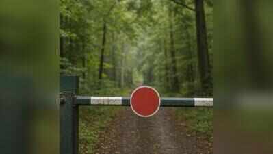 Race for forest chief post hits pause after complaint against contender