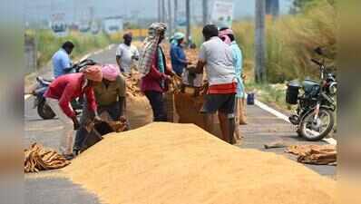 Ahead of paddy procurement, Punjab faces storage crisis