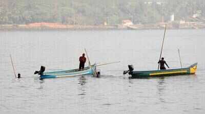 After risking their lives for clams, Campal’s divers now risk their incomes for sustainability