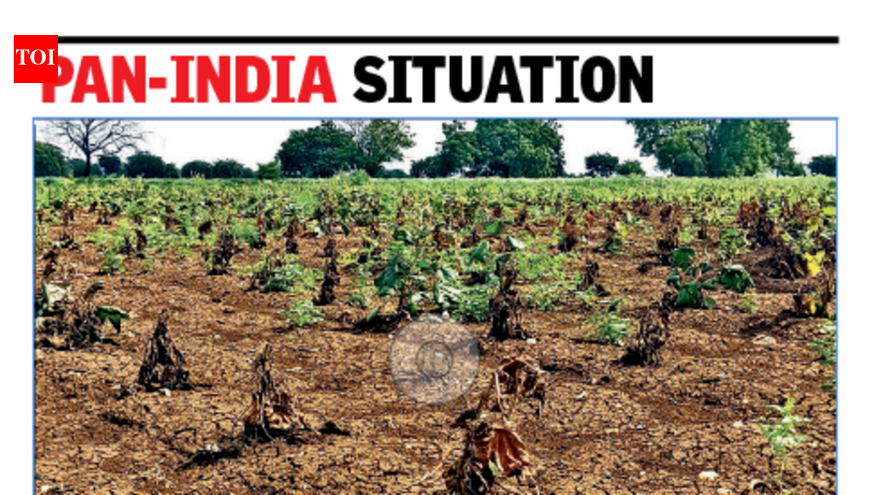 Maharashtra drought deepens as 17-week rain shortfall hits Marathwada and Vidarbha
