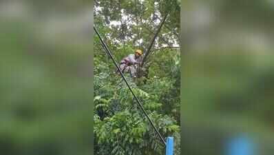 Rain batters power network, discom scrambles to restore services