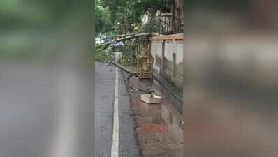 Rain batters power network, discom scrambles to restore services