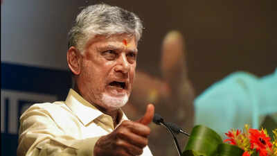 BJP allies close ranks, flay opposition for 'undermining democracy'