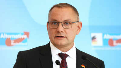 AfD, party that pulled off stunner in German polls, backs probe into Nord pipelines