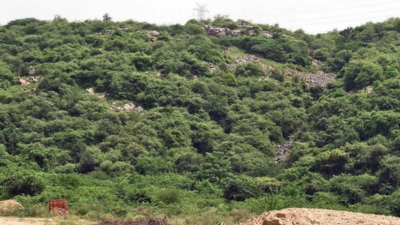 493 hills, yet Mangar 'agri land' on paper: Decade after NGT sought clarity on status, experts say loophole in records threatens Aravalis