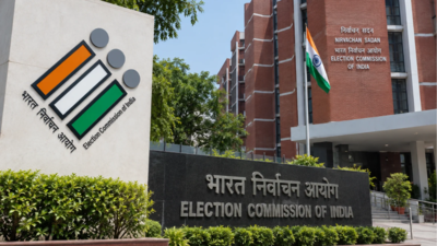 Delhi SIR: Special camps on Sunday to enrol eligible voters