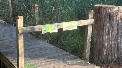 Meet Erin Gardner, the Westford student raising $2,200 to rebuild a 24-foot trail bridge; she has already raised $1,125 and plans to replace its railings so children can safely keep using the path