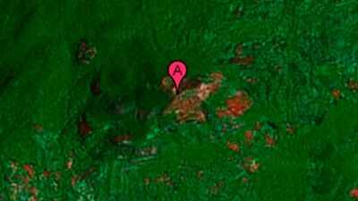 In 2005, conservation scientist Julian Bayliss spotted a vast Mozambique rainforest on Google Earth; in 2008, a 28-scientist expedition found three new butterfly species and a new snake