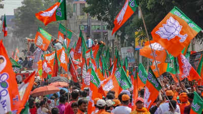 NPF gets most, BJP second as 111 MPs, MLAs switch parties since 2022: ADR
