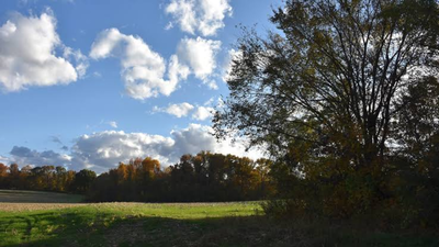 In 1988, Ohio attorney Neil McKown secretly bought 155 neglected acres; 38 years later, the family farms nearly 500 acres and he declined a $400,000-$500,000 timber cut to keep the woods