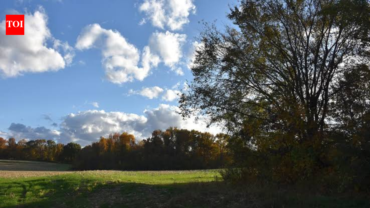 In 1988, Ohio attorney Neil McKown secretly bought 155 neglected acres; 38 years later...